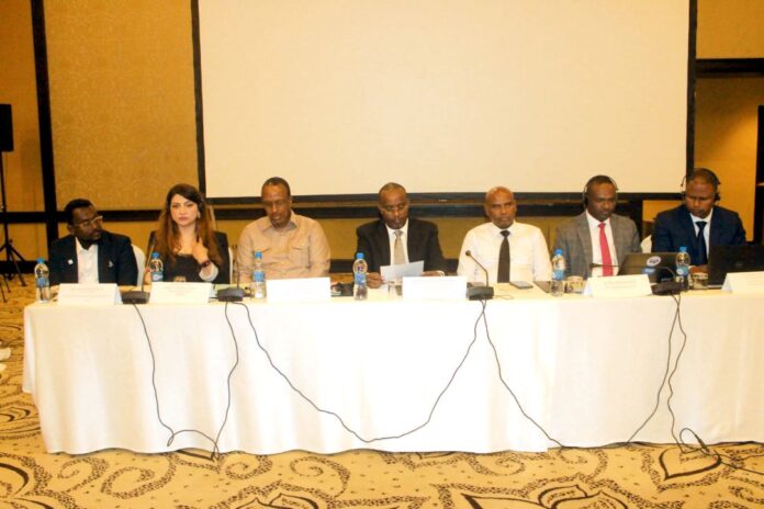 Djibouti-saligne-sur-linitiative-mondiale-dalerte-precoce-de-lONU-1-696x464
